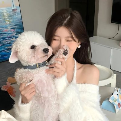 公子贵姓